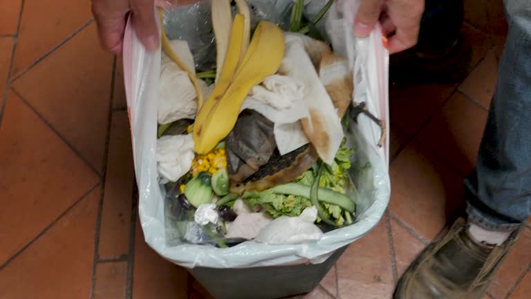 Reliable Shenandoah Heights, PA Junk Removal Services Solutions
